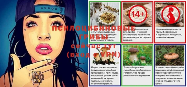 прущая мука Алзамай
