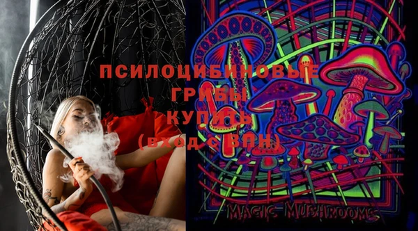 Альфа ПВП Алексин