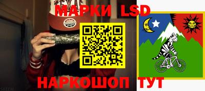 гидра Бердск