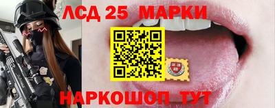 гидра Бердск