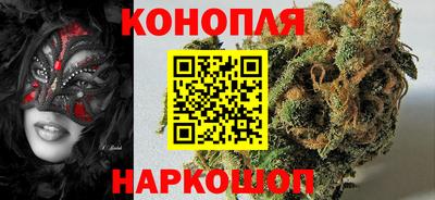 гидра Бердск