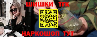 гидра Бердск