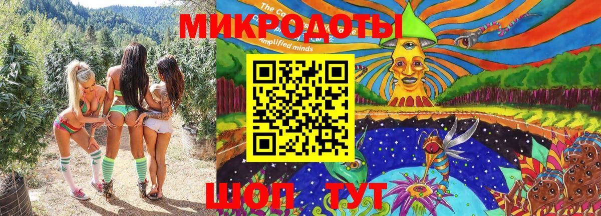 Ахтубинск  продажа наркотиков  Вход с VPN  Псилоцибиновые грибы Cubensis 