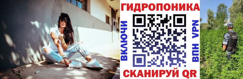 цены наркотик  Ахтубинск  Бошки Шишки Bruce Banner 
