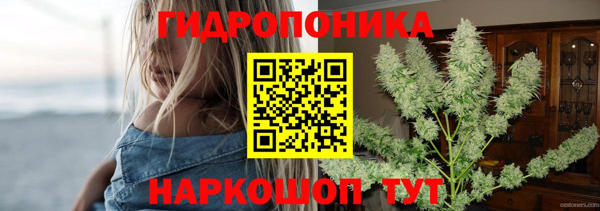 Шишки марихуана сатива  МАРИХУАНА марихуана  Ахтубинск  Вход с VPN  МАРИХУАНА сатива 